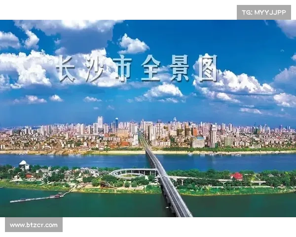 探索中青超平台独特优势与鲜明特点的全景分析 探索中青超平台独特优势与鲜明特点的全景分析